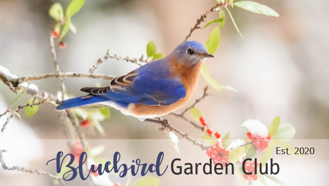 Bluebird Garden Club